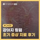 심바동물병원 | 서초구 동물병원 강아지 링웜 초기 증상과 치료 후기