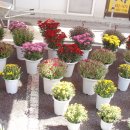 지리산길민박 이미지