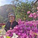 1박2일 - 횡성군 둔내로 49 | 1박2일