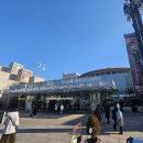 스토리텔링 | [내돈내산] 앤서니브라운 전:마스터 오브 스토리텔링 전시회 관람후기!!