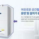 온수멋쟁이