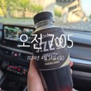 정충묘 | [정충묘] 놓치기엔 너무 아쉬운 자목련 막차타기! 정충묘 자목련숲 개화 상황