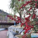 구름다리위 교차로 이미지