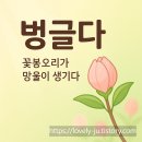 벙글다 티스토리