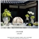 도리초등학교 | 선택적 J인 둘째엄마 (성장앨범, 백일상 대여와 돌사진 촬영)