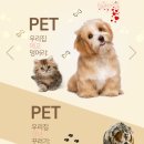 그루밍 캐나다 이미지