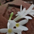 꿈에그린고시텔 | [청량리 고시원 고시텔 원룸텔 추천] 꿈에그린고시텔 청량리 꿈에그린고시텔, 위치와 시설이 뛰어난 곳
