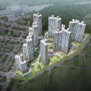 아이비헬스 이미지