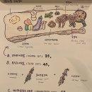 마마타타 이미지