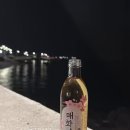 돈후명가 | 제주도 여행 2박3일 코스/제주도 여행/제주도 맛집/제주도 카페/제주도 여행코스/제주도 여행 3박4일 코스