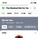 먼치오케이 이미지