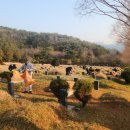 부산시설공단추모공원 이미지