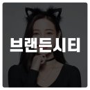 브랜든시티의원