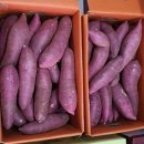 명지농장 이미지