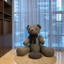 비지니스 돈 호텔 이미지