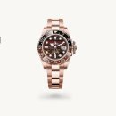 에버로즈 이미지