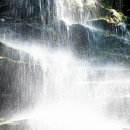 피서지｜특별한 풍류 여름나기 여행 이미지