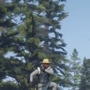 미스터홍 이미지