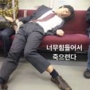 은찬목장 | 7•8월 정산 레츠고