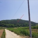 여주-1140 이미지