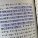 세일러문PC | 잔인한 사월