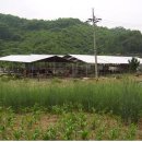 만평농장 이미지