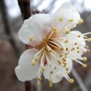 소현1리 이미지