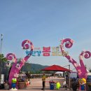 (기획투어)나이트가든투어 | 2026 포천 한탄강 봄 가든페스타, 한탄강 가든 나이트 투어 방문기(입장료,먹거리, 꿀팁 정보)