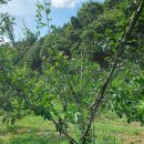 정경식농장 이미지