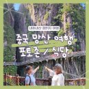 우리대형 카 정비 | 중국 망산 여행 엄마랑 오지봉 케이블카 트래킹 패키지 후기