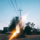 새댁쭈꾸미 이미지