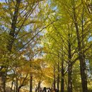 영주한우마을 | 단풍 여행-영주 부석사, 선비세상, 소수서원, 무섬마을