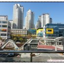 자연앤자이13블럭 이미지