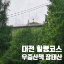 힐링(장태산) | 장태산 비오는 날 우중산책 후기 대전 힐링코스 추천