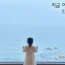 경주 감포트라제2 이미지