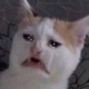 방가방가 이미지