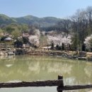 버드나무캠핑장 이미지