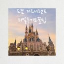 주식회사 펫드림월드 | 도쿄 디즈니랜드 4인가족 다녀온 후기 리얼 꿀팁 추천 어트랙션 핵심요약 총정리