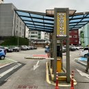 잉글랜드 돈까스 이미지