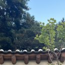 마당너른집 이미지