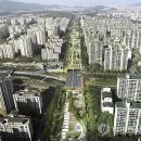 분당수서로 이미지