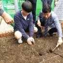 선은농장(1) 이미지