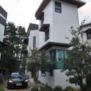 솜니제주 | [제주도 가성비 감성숙소 추천] 솜니제주 후기