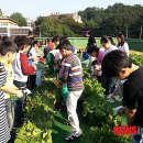 서울흥일초등학교 이미지