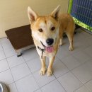 삼도타운 이미지