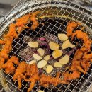 [세종 고운동 맛집] 황금우주 산삼숯불꼼장어 / 딱 맛있게 매운 닭발에 된장술국에 숙취제로 정약용...