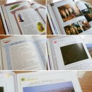 주식회사 로마 이미지