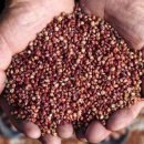 대곡양곡 이미지