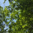 세량제산책로공중화장실 | 남양주 천마산 등산코스 호평동 절 수진사 뒤 달님과꽃님 산책로