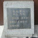 기구한 흥화문의 운명 이미지